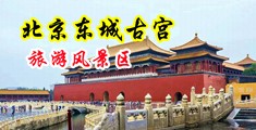高清大鸡巴日逼逼的裸体视频中国北京-东城古宫旅游风景区